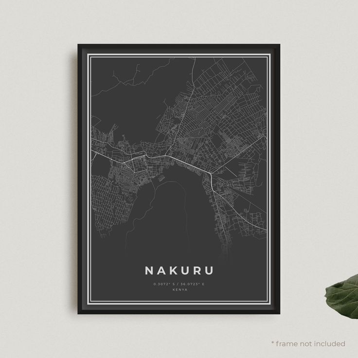 Nakuru MIS System
